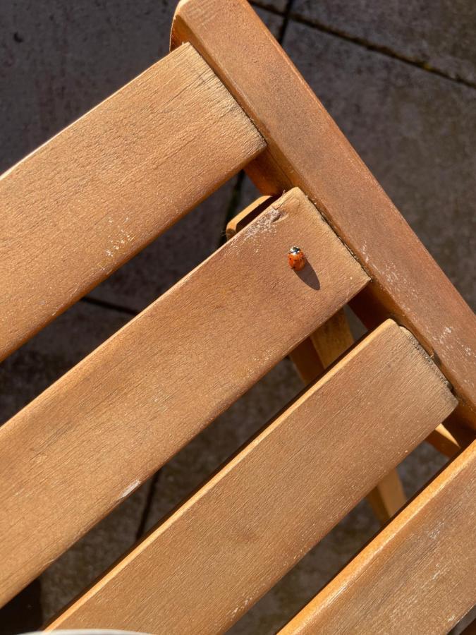 Duplex 6 Plazas Para Desconectar De La Rutina Oliana エクステリア 写真